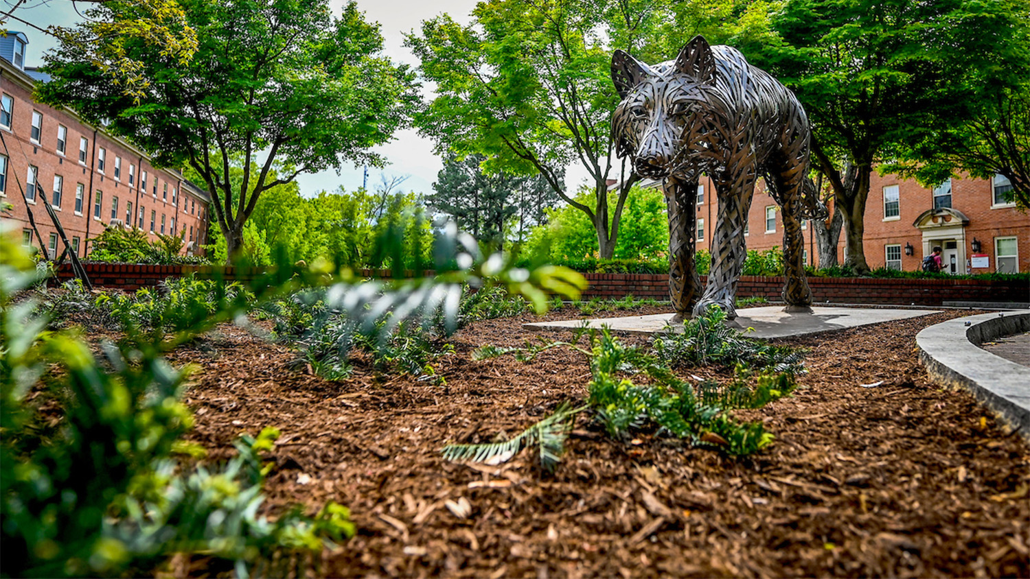 Wolf Statue