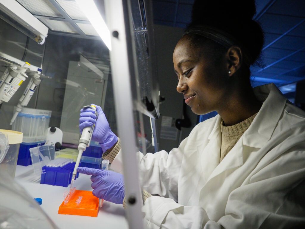 A graduate student works in the lab of Dr. Rob Smart on Centennial campus. Photo by Marc Hall