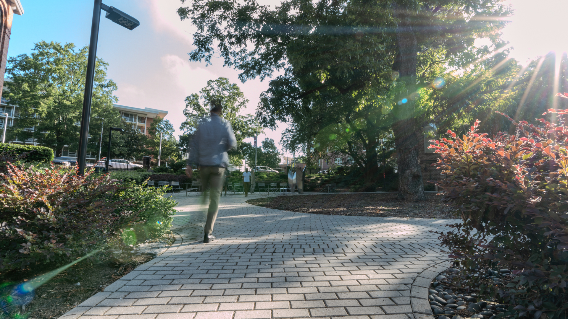The Global Courtyard at NC&#160;State with trees and sunlight. 