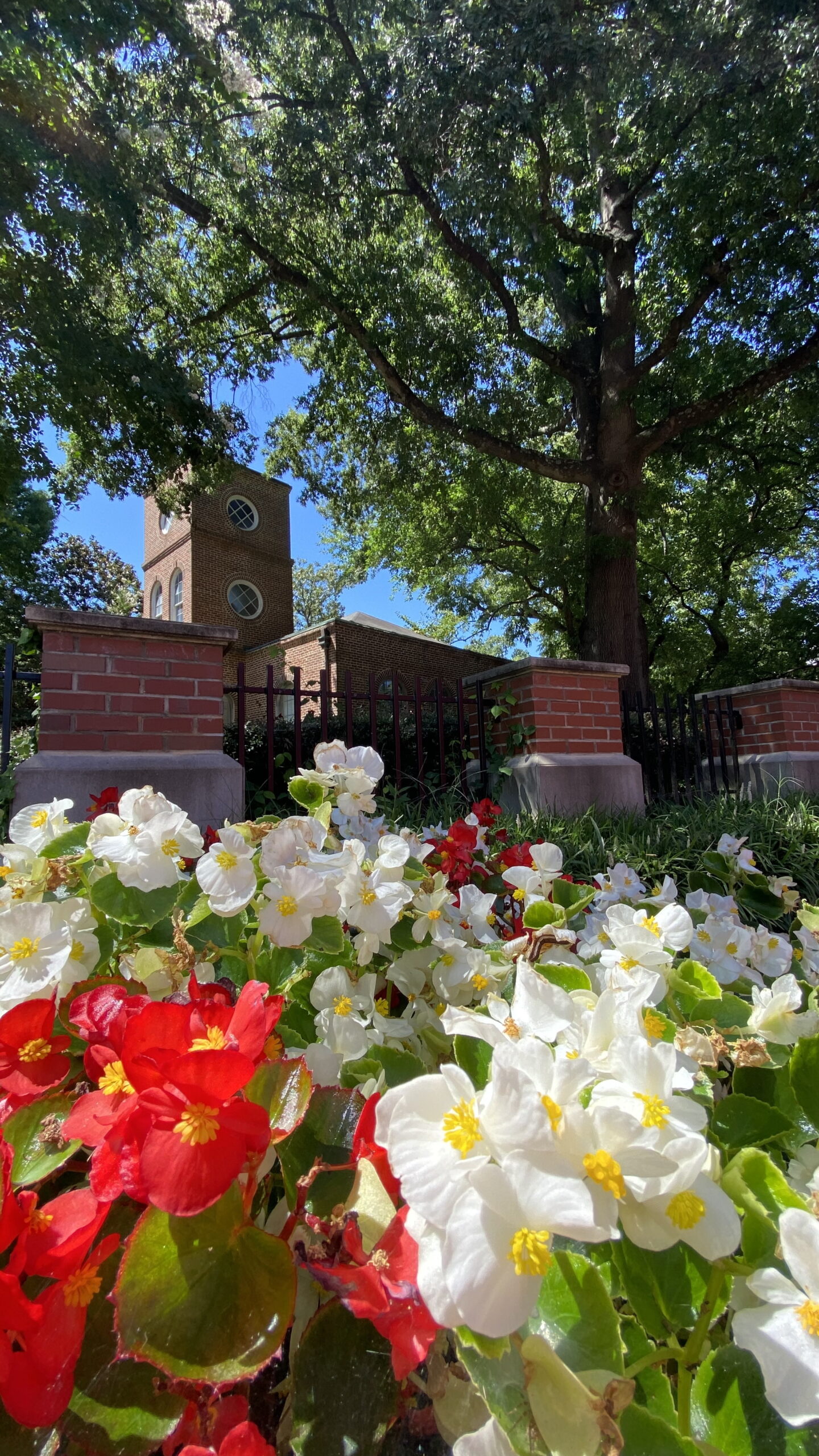 Primrose Hall with red and white flowers in the foreground during spring.