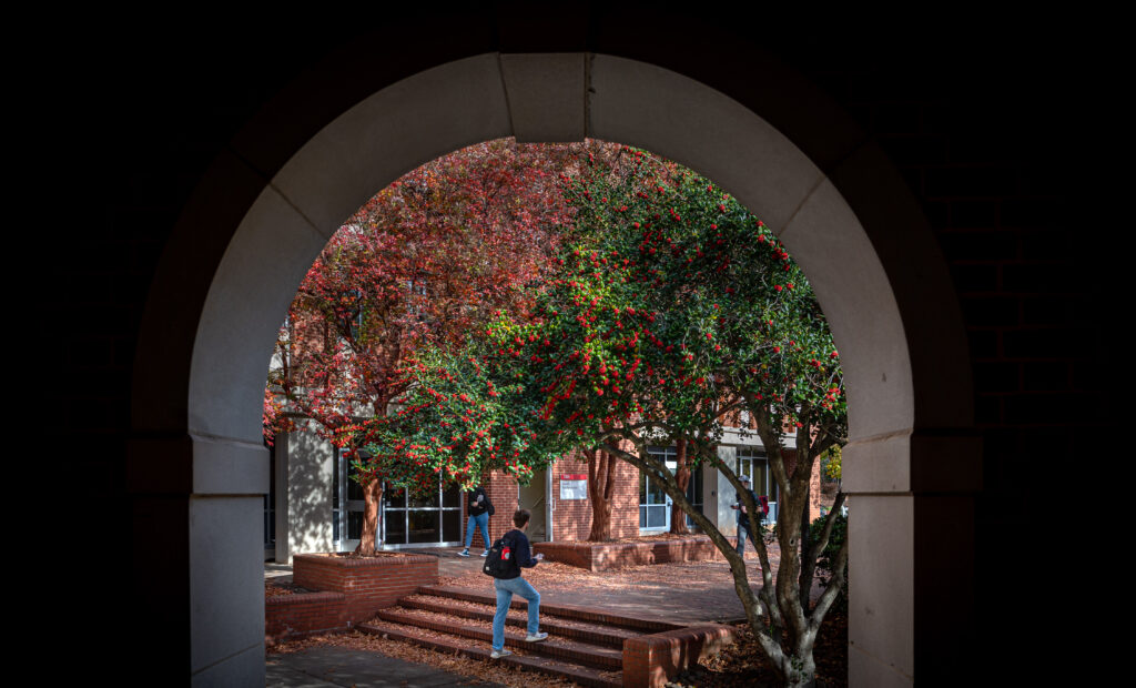 Students make their way to and from class during fall on main campus. Framed by an archway at Turling Residence Hall. 