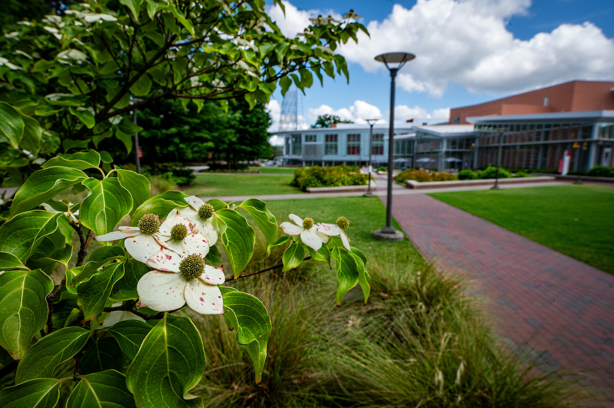 An image of summer flowers with Talley Student Union in the background