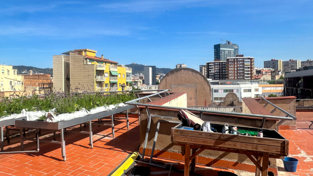 A hydroponic rooftop garden growing in Barcelona's Glòries neighborhood. 