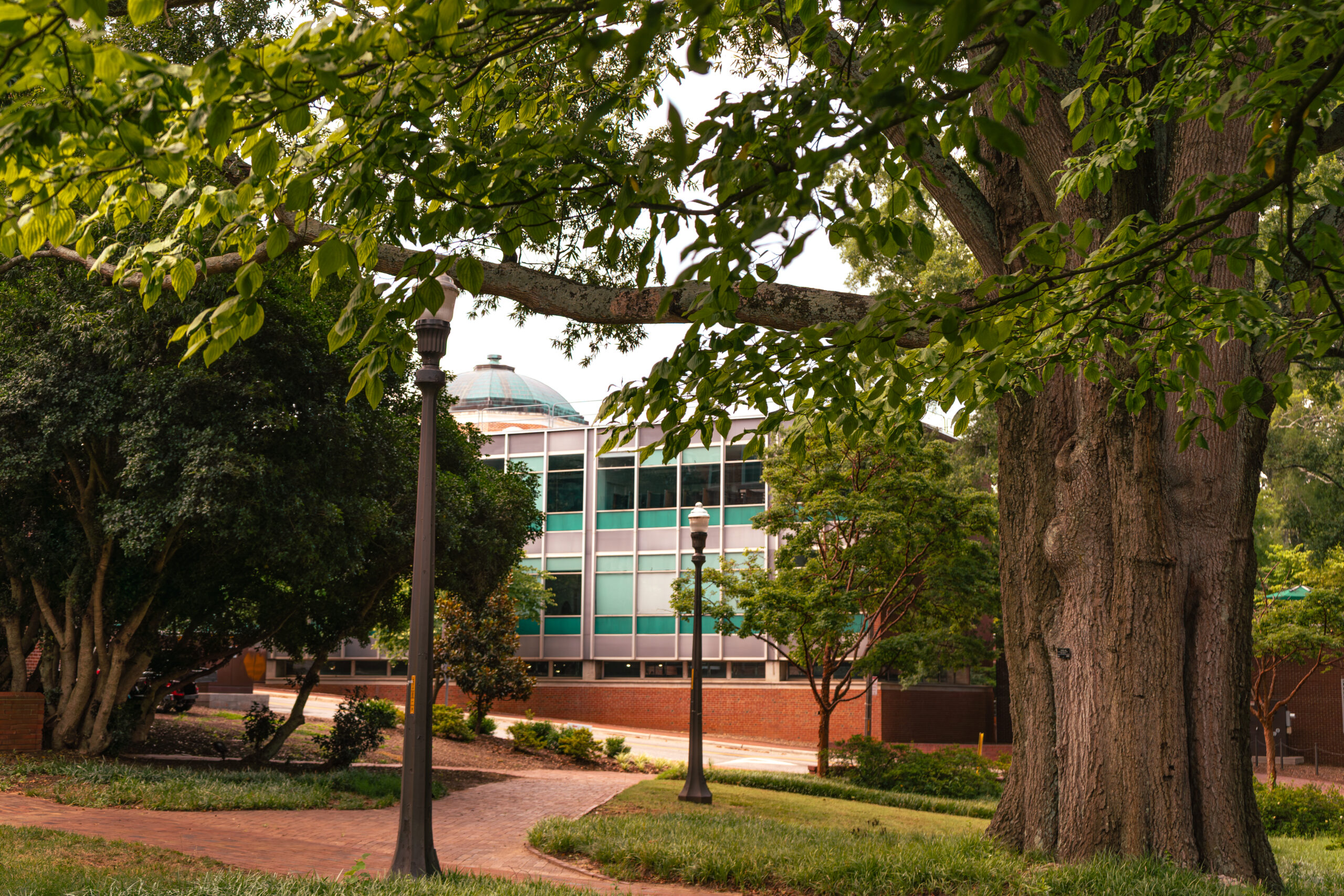 The Matsumoto Building at NC State University, through the trees with a winding path leading to the building's facade, full of turquoise windows with the Brooks Hall dome behind it.