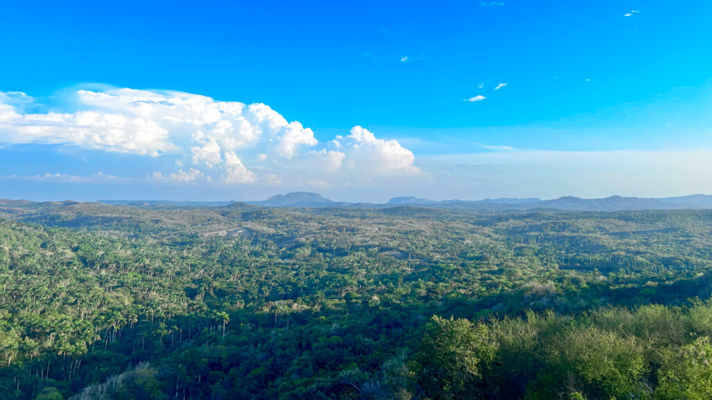 A view of the Cuban countryside on the way to Matanzas. 
